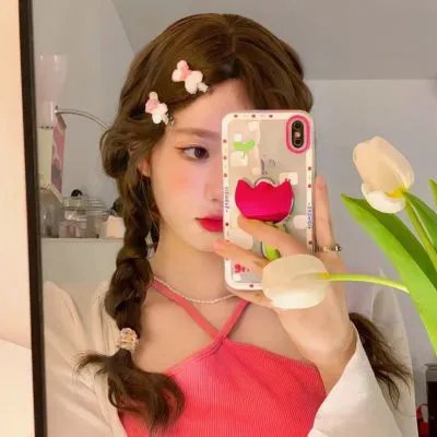 一片冰心在玉壶