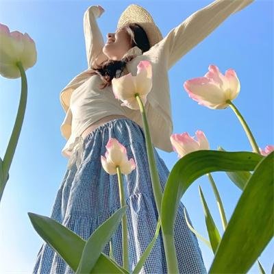 郡主来破案神奇动物在哪里